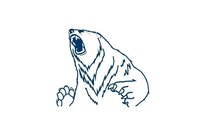 ﻿ T20 Blast 2023: Birmingham Bears to be named Birmingham Polar Bears
