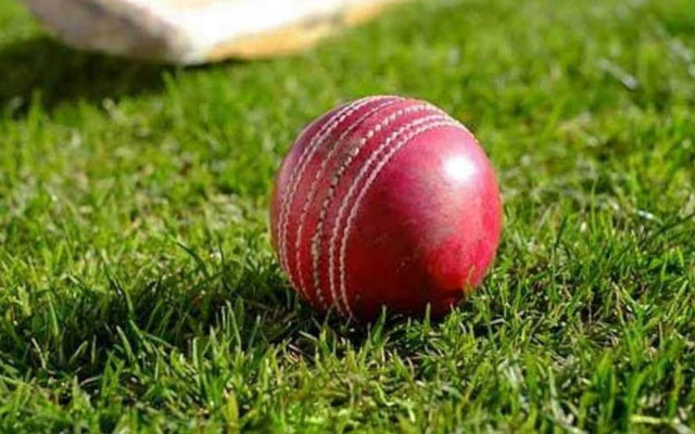 Mumbai cricketer succumbs after copping nasty blow to head