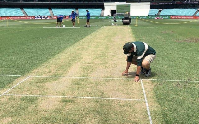 SCG curator Adam Lewis answers pitch concerns ahead of Australia-Pakistan final Test