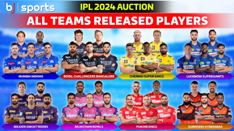 IPL 2024 An Overview of Teams, Players, and More